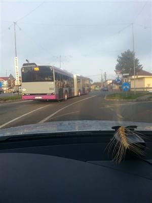 Promise exclusiv cetăţenilor din municipiul Cluj-Napoca, autobuzele mov au circulat marţi şi în Floreşti. Care a fost explicaţia