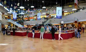 Bijuterii din lemn din Crimeea, la Expomineralia, Iulius Mall (P)