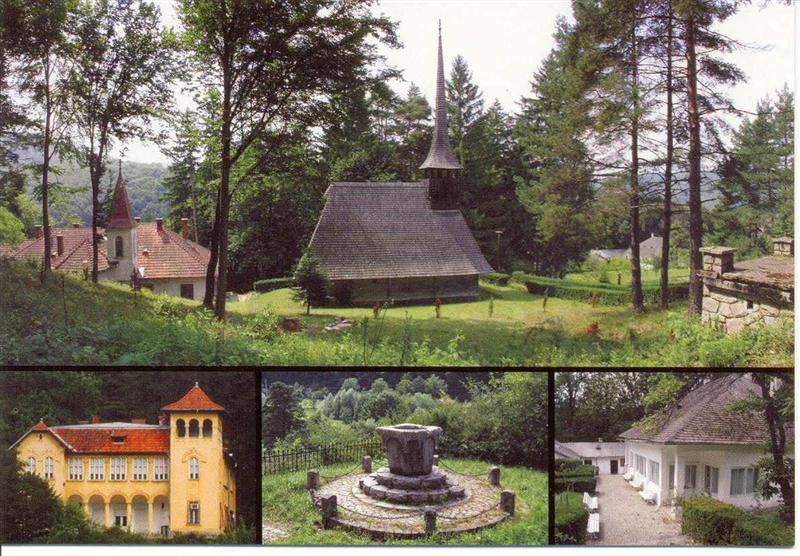 Soarta domeniului Octavian Goga de la Ciucea, decisă în toamnă. Înalta Curte, ultima speranţă a judeţului de a păstra muzeul în patrimoniul său