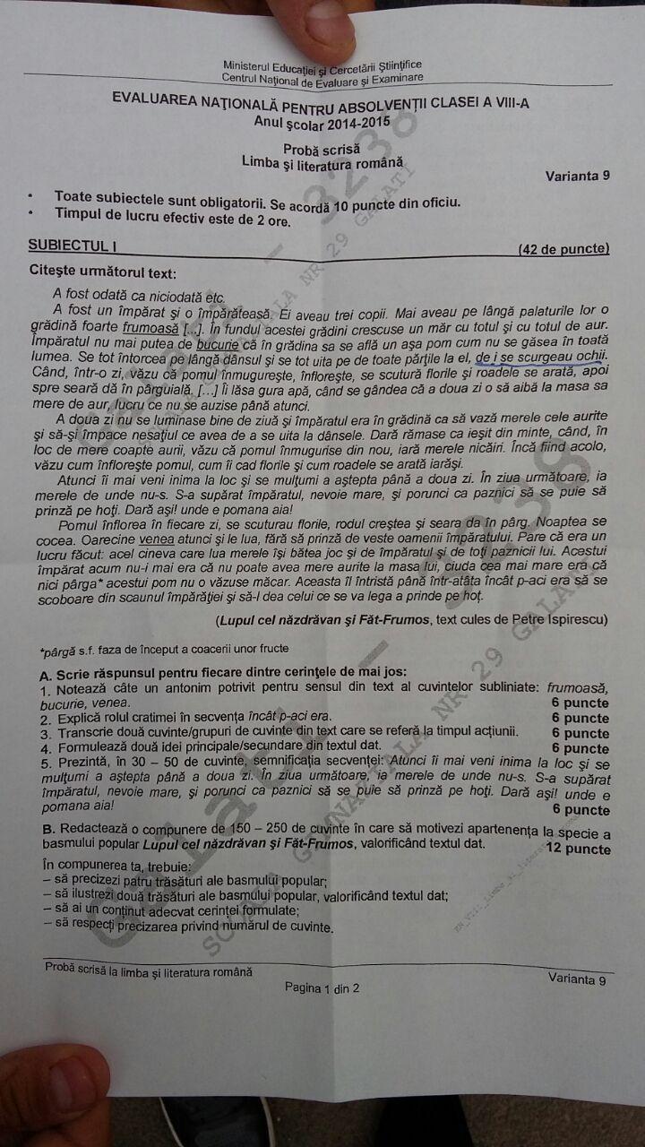 Evaluarea naţională: subiectele la proba de limba şi literatura română