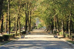 Taxa de intrare în parcul Iuliu Haţieganu nu poate fi eliminată. Care este motivul