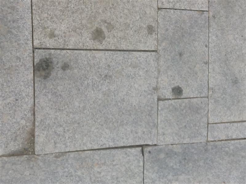 Francezii, sancţionaţi pentru lucrările de mântuială din centrul Clujului
