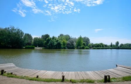 Descoperiţi Câmpia Maghiară de Nord GALERIE FOTO (P)