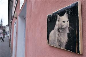 Street art a la Cluj: tablouri inedite pentru trecători. Gratis 