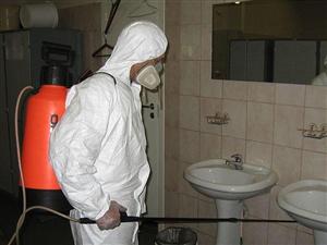 Primăria anunţă o nouă acţiune de deratizare pe domeniul public. Când va avea loc
