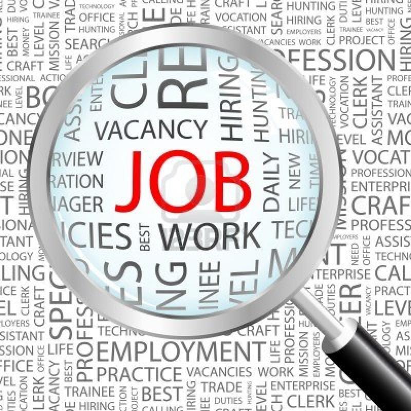 2.400 de locuri de muncă disponibile în Spaţiul Economic European 
