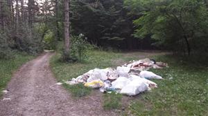 Autorităţile locale le-au declarat război celor ce-şi aruncă gunoaiele în pădure. Ce au păţit patru clujeni