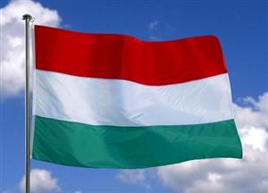 Avertismentul ministrului ungar de Externe: Ungaria poate construi imediat gard la frontiera cu România, în cazul în care imigranţii schimbă ruta
