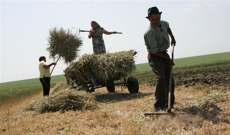 Mesaj pentru fermierii clujeni: