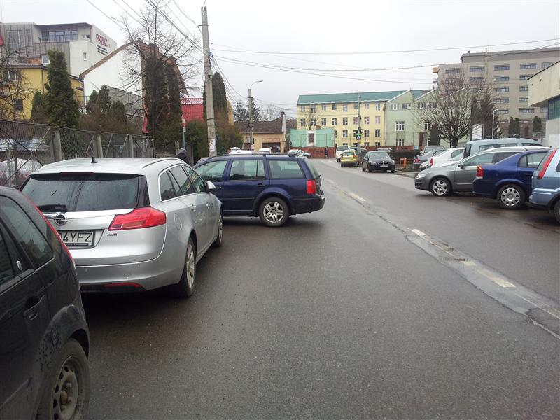 RUPE-ŢI PERMISUL: Bandă de circulaţie, blocată de un bizon