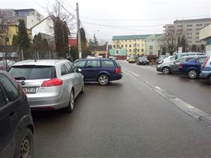 RUPE-ŢI PERMISUL: Bandă de circulaţie, blocată de un bizon