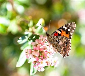 Vremea până în 18 aprilie. Evoluţia temperaturilor