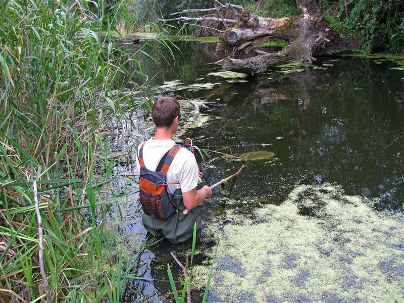 Pescarii din Cluj ameninţă Guvernul cu judecata. Ei cer despăgubiri după depopularea lacurilor