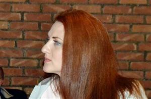 Lanțul răspunderii în statul de drept. Sau cine-s Hexi-criminalii?