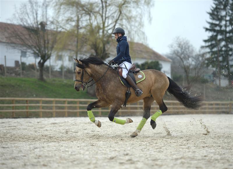 Salina Equines Horse Trophy pune Clujul pe harta mondială a curselor de cai - GALERIE FOTO