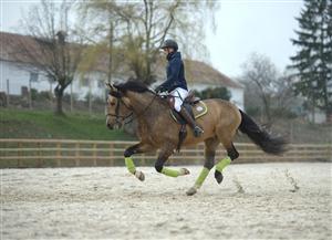 Salina Equines Horse Trophy pune Clujul pe harta mondială a curselor de cai - GALERIE FOTO