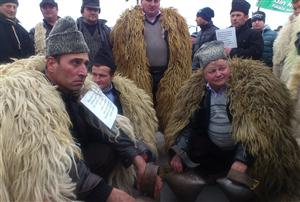 Câteva mii de crescători de ovine şi bovine protestează în Capitală. 