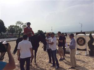  Belle de Jour şi Ionel Bucur, marii câştigători ai competiţiei Salina Equines Horse Trophy