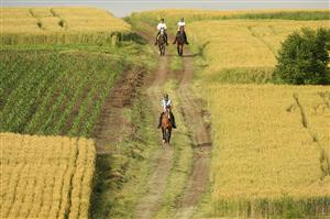 Peste 150 de concurenţi şi premii de 33.000 de euro la prima ediţie a competiţiei internaţionale Salina Equines Horse Trophy FOTO