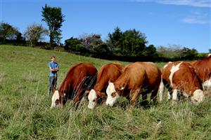 Donatorii de animale de la Heifer pleacă din Cluj în ţări mai sărace