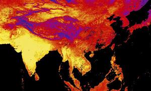 Planeta fierbe! 9 recorduri de temperatură doar în ultimele 12 luni