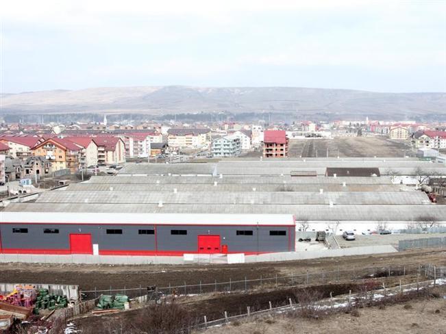 Anunţ crucial al Primăriei Floreşti despre ferma de pui