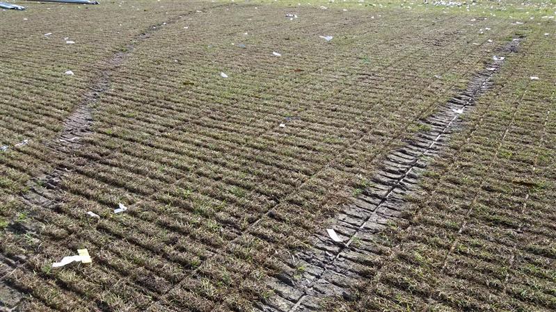 Untold: Suporterii naţionalei să fie liniştiţi