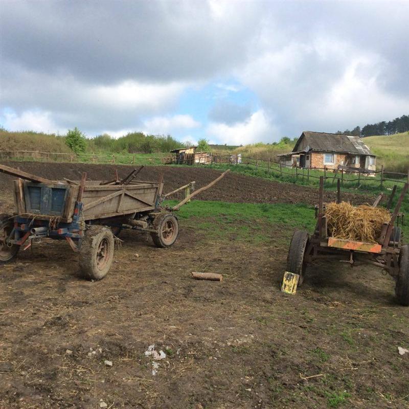 Statistica sărăciei: Mai mult de 32% din gospodăriile populaţiei nu fac faţă cheltuielilor importante