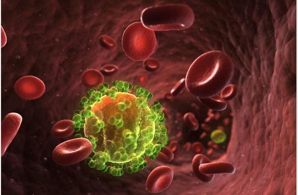 Terapie pentru distrugerea HIV, experimentată cu succes
