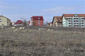 Paradoxul imobiliar de la Cluj: apartamentele vechi, mai scumpe decât cele noi