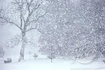 Cod galben de ninsori şi vânt în minivacanţa de 1 Decembrie 