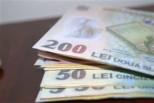 Câţi bani, proveniţi din fraude economice, au fost recuperaţi de Poliţie în primele 10 luni