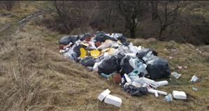 Încă o groapă clandestină de gunoi în Făget. Ce amendă a primit vinovatul 