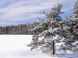 Cum evoluează vremea în următoarele zile. PROGNOZA METEO