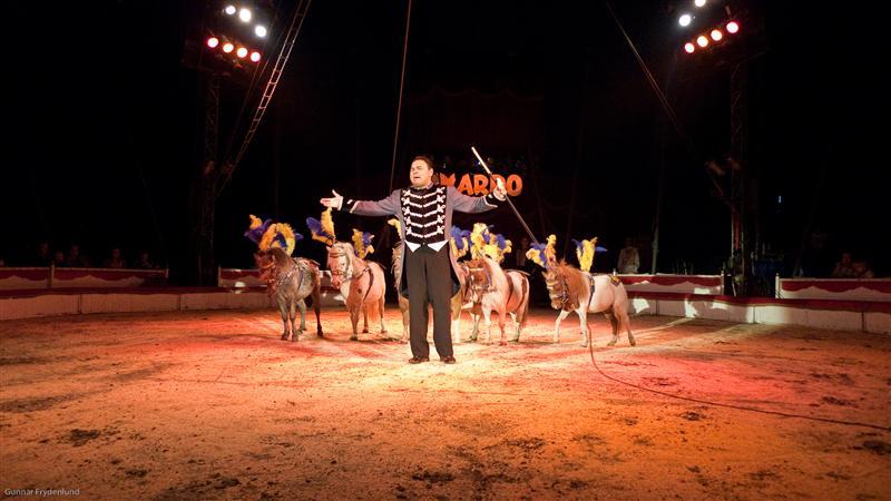 Fără animale la circ! Marş în centrul Clujului