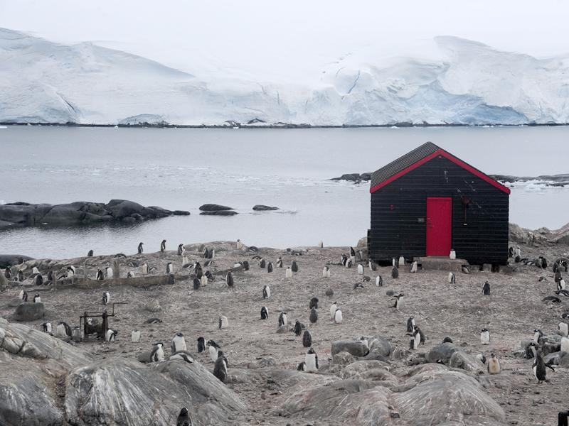 Pe urmele lui Racoviţă. Aventură clujeană în Antarctica FOTO