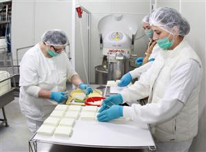 Afacere de Cluj cu produse din lapte de capră după reţetă franţuzească