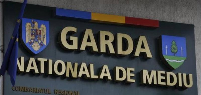 Grevă generală la Garda de Mediu. Se întrerupe activitatea în toate comisariatele din țară