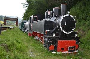 Mocăniţa revine pe Valea Arieşului. Pe vremuri circula până-n Cluj