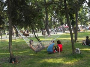 Minori din Mureş, la cerşit în Parcul Central din Cluj