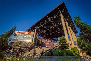 Fosile de megalodon şi mosasaur, mamifere preistorice, prezentate la Iulius Mall Cluj, în cadrul Expo Mineralia (P)