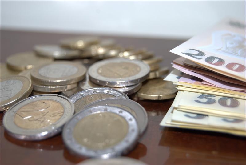 Leul, în cădere pe piaţa interbancară după anunţul desfiinţării Pilonului II