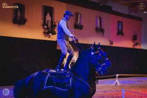 Zaracatan, cel mai frumos show de echitație din România, la Salina Equines