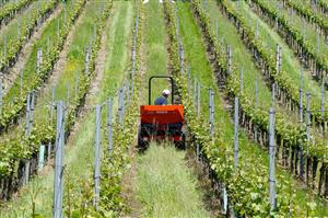 Finanţare bancară a agricultorilor, în combinaţie cu Agenţia de Plăţi
