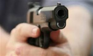 Carmen Dan: Doresc eliminarea constrângerilor pe care le au poliţiştii în cazul uzului de armă