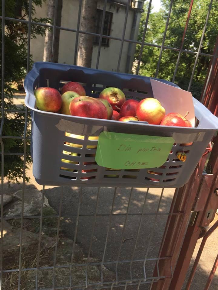 Gest frumos la Cluj. Mere din parte casei FOTO
