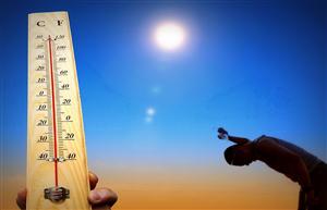 Caniculă la Cluj. Temperaturi de 37 de grade Celsius