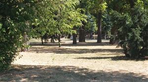 Parcul din Cluj (încă) e „chel