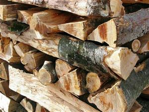 Exportul de lemne de foc, interzis pentru trei ani