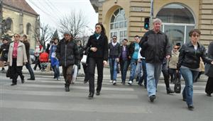 Amenzi şi permise reţinute pentru nereguli în trafic. Pietonii, responsabili pentru cele mai multe accidente